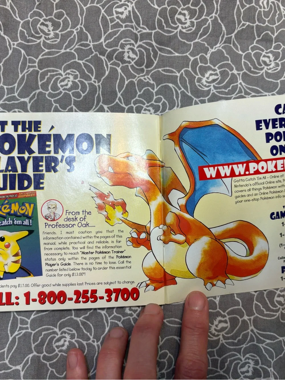 Nintendo Pokémon Trainer's Guide & Rules Booklets - Brown and Blue